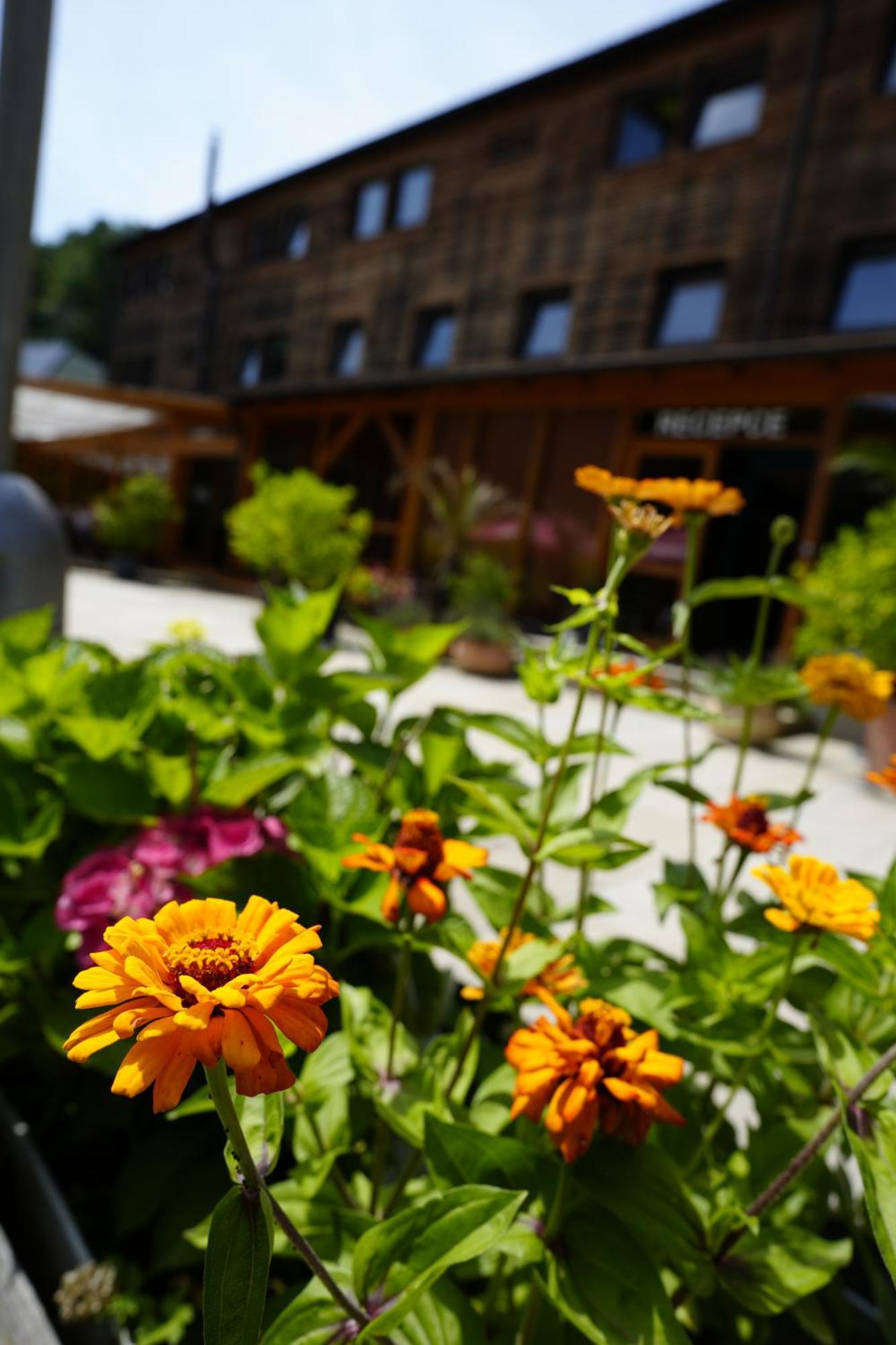 Sporthotel Barborka Hluboká nad Vltavou Exterior foto